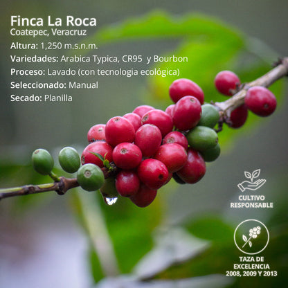 Café de Altura Delicias de Café | Mezcla de la Casa